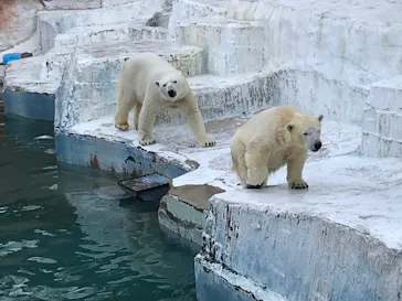 天王寺動物園に投稿された画像（2022/1/16）