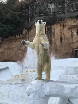 天王寺動物園に投稿された画像（2022/1/16）