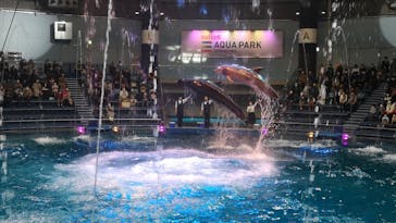 マクセル アクアパーク品川に投稿された画像（2022/1/16）