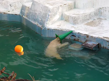 天王寺動物園に投稿された画像（2022/1/16）