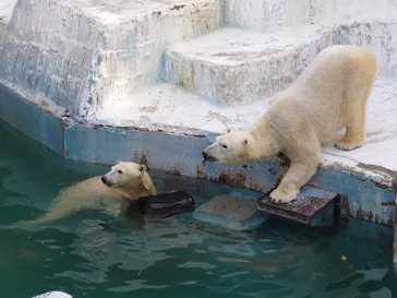 天王寺動物園に投稿された画像（2022/1/16）
