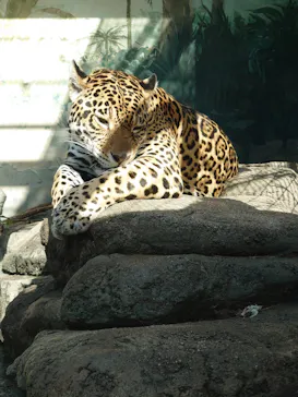 天王寺動物園に投稿された画像（2022/1/16）