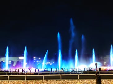 東京メガイルミに投稿された画像（2022/1/16）