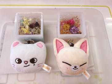 ずこうしつ〜sugamo〜に投稿された画像（2022/1/16）