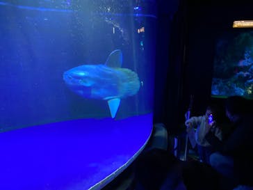 サンシャイン水族館に投稿された画像（2022/1/16）