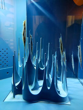 京都水族館に投稿された画像（2022/1/16）