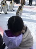 旭川市旭山動物園に投稿された画像（2022/1/16）