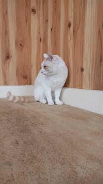 那須どうぶつ王国に投稿された画像（2022/1/16）