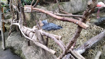 那須どうぶつ王国に投稿された画像（2022/1/16）