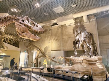 国立科学博物館に投稿された画像（2022/1/16）