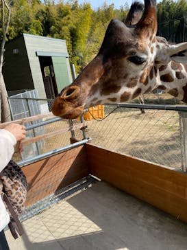 しろとり動物園に投稿された画像（2022/1/16）