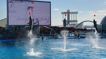 名古屋港水族館に投稿された画像（2022/1/16）