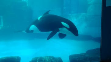 名古屋港水族館に投稿された画像（2022/1/16）