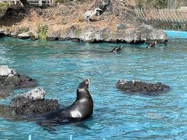 天王寺動物園に投稿された画像（2022/1/16）