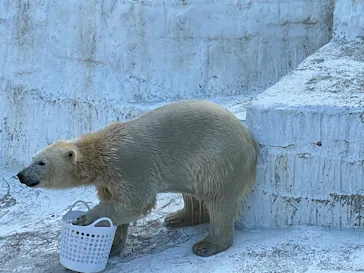 天王寺動物園に投稿された画像（2022/1/16）