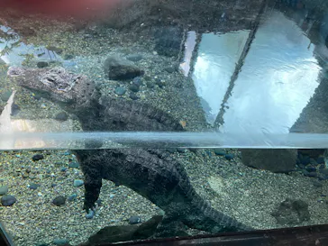 天王寺動物園に投稿された画像（2022/1/16）