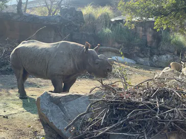 天王寺動物園に投稿された画像（2022/1/16）