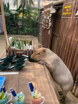 神戸どうぶつ王国に投稿された画像（2022/1/16）