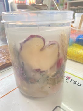 ずこうしつ〜sugamo〜に投稿された画像（2022/1/16）