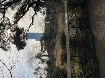 天王寺動物園に投稿された画像（2022/1/16）