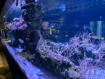 すみだ水族館に投稿された画像（2022/1/16）