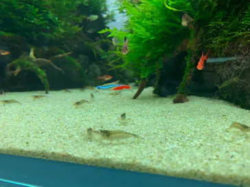 すみだ水族館に投稿された画像（2022/1/16）