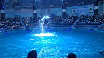 マクセル アクアパーク品川に投稿された画像（2022/1/16）