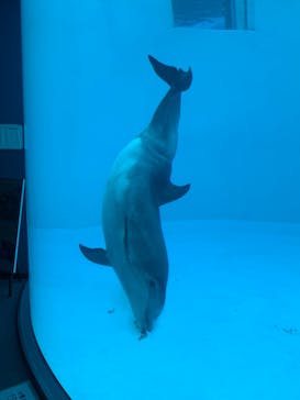 名古屋港水族館に投稿された画像（2022/1/16）