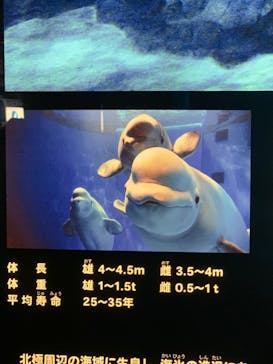 名古屋港水族館に投稿された画像（2022/1/16）