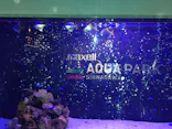 マクセル アクアパーク品川に投稿された画像（2022/1/16）