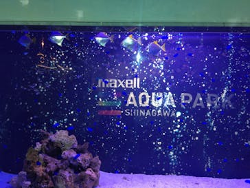 マクセル アクアパーク品川に投稿された画像（2022/1/16）