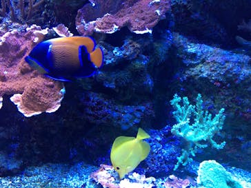 マクセル アクアパーク品川に投稿された画像（2022/1/16）