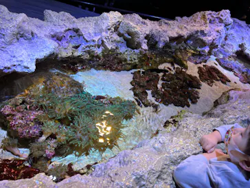 すみだ水族館に投稿された画像（2022/1/16）