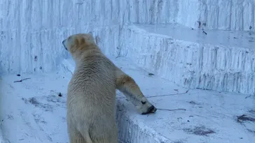 天王寺動物園に投稿された画像（2022/1/16）