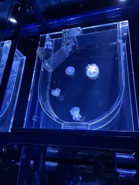 すみだ水族館に投稿された画像（2022/1/16）