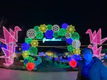 伊豆ぐらんぱる公園に投稿された画像（2022/1/16）