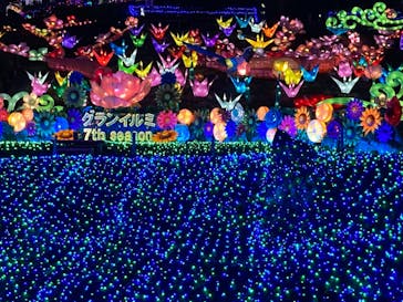 伊豆ぐらんぱる公園に投稿された画像（2022/1/16）