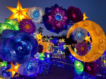 伊豆ぐらんぱる公園に投稿された画像（2022/1/16）