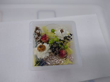 ずこうしつ〜sugamo〜に投稿された画像（2022/1/16）