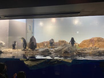 マクセル アクアパーク品川に投稿された画像（2022/1/16）