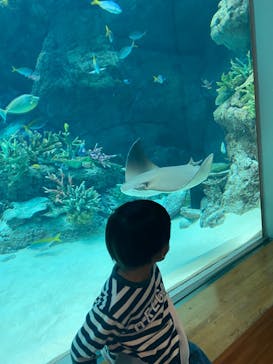 名古屋港水族館に投稿された画像（2022/1/16）