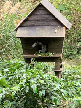 ネオパークオキナワに投稿された画像（2022/1/16）