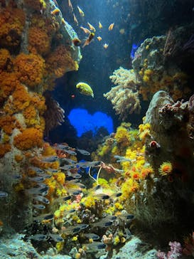 サンシャイン水族館に投稿された画像（2022/1/16）