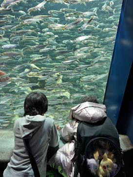 サンシャイン水族館に投稿された画像（2022/1/16）