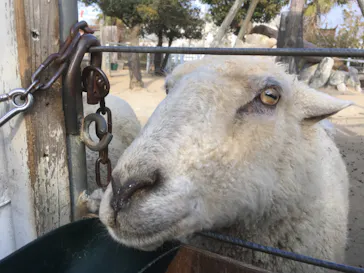 神戸どうぶつ王国に投稿された画像（2022/1/16）