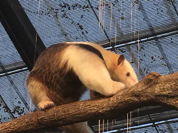 神戸どうぶつ王国に投稿された画像（2022/1/16）