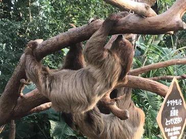 神戸どうぶつ王国に投稿された画像（2022/1/16）