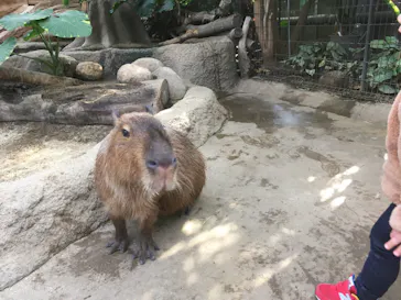 神戸どうぶつ王国に投稿された画像（2022/1/16）