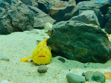 株式会社Gに投稿された画像（2022/1/16）