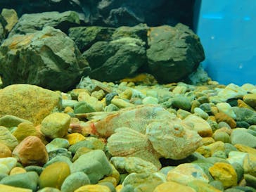 株式会社Gに投稿された画像（2022/1/16）